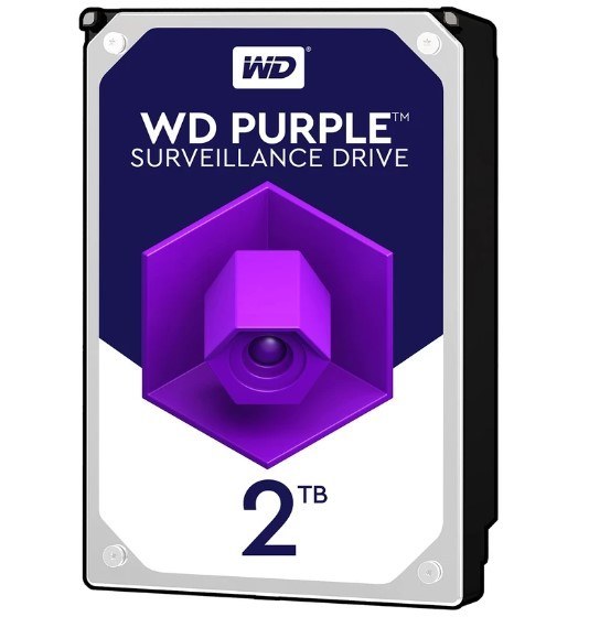 purple 2t